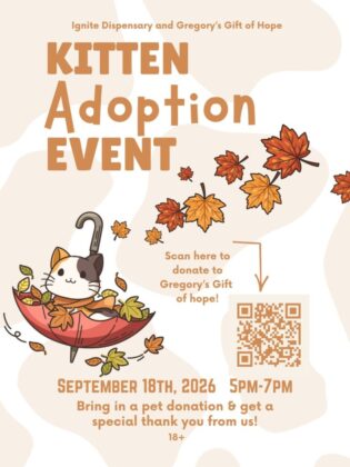 ignite kitten adopt 2026 315x420