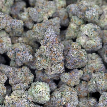 kush queen hemp flower e85 thca flower private reserve 39983625535733 large 420x420