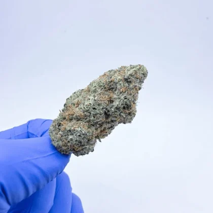 kush queen hemp flower exotic aaa jet fuel og thca flower 1255051421 large 420x420